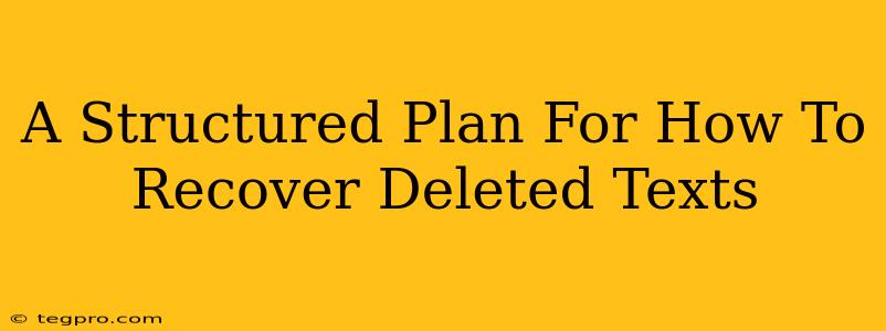 A Structured Plan For How To Recover Deleted Texts