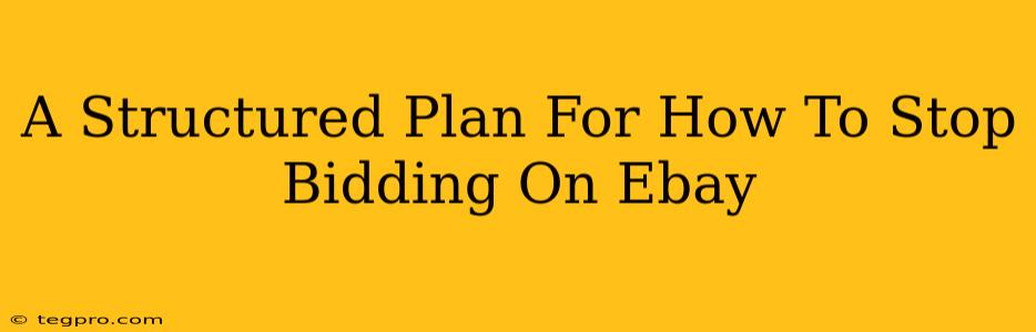 A Structured Plan For How To Stop Bidding On Ebay