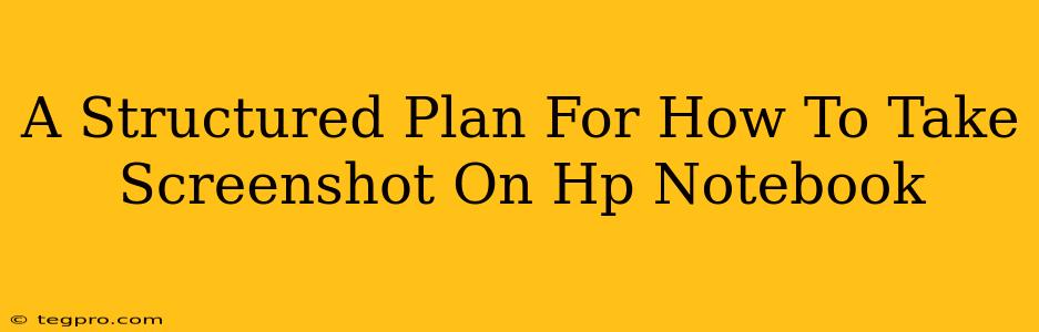 A Structured Plan For How To Take Screenshot On Hp Notebook