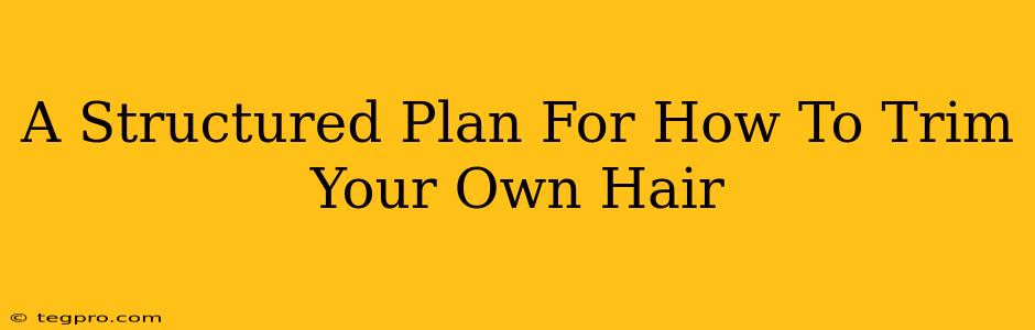 A Structured Plan For How To Trim Your Own Hair