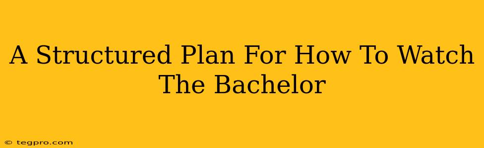 A Structured Plan For How To Watch The Bachelor