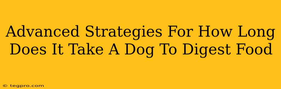 Advanced Strategies For How Long Does It Take A Dog To Digest Food