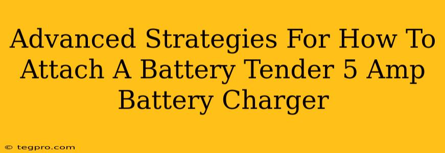 Advanced Strategies For How To Attach A Battery Tender 5 Amp Battery Charger