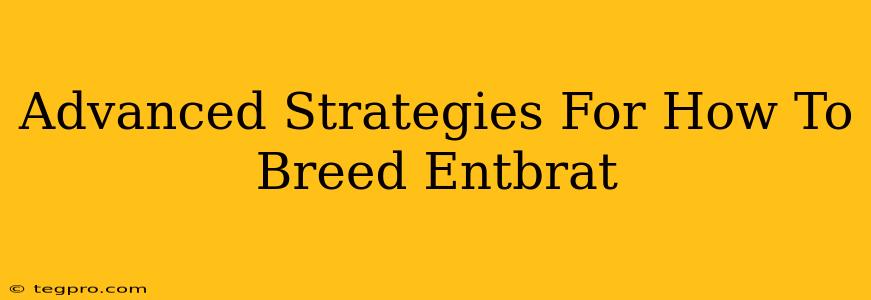 Advanced Strategies For How To Breed Entbrat