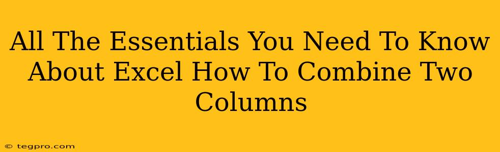 All The Essentials You Need To Know About Excel How To Combine Two Columns