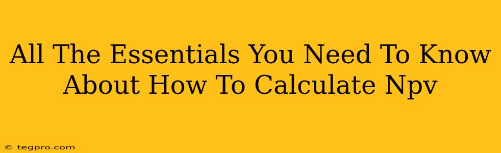 All The Essentials You Need To Know About How To Calculate Npv