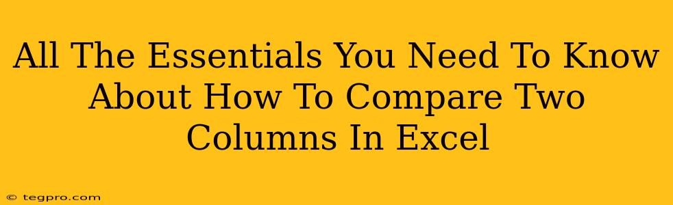 All The Essentials You Need To Know About How To Compare Two Columns In Excel