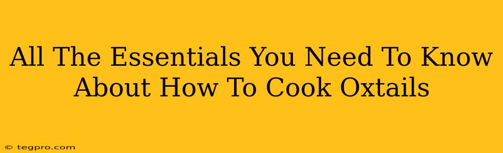 All The Essentials You Need To Know About How To Cook Oxtails