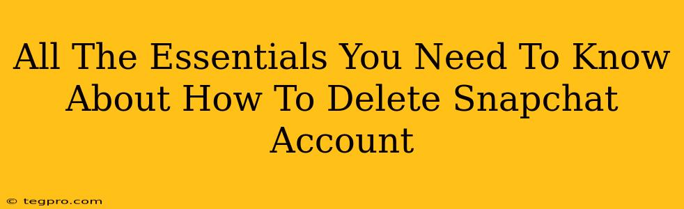 All The Essentials You Need To Know About How To Delete Snapchat Account