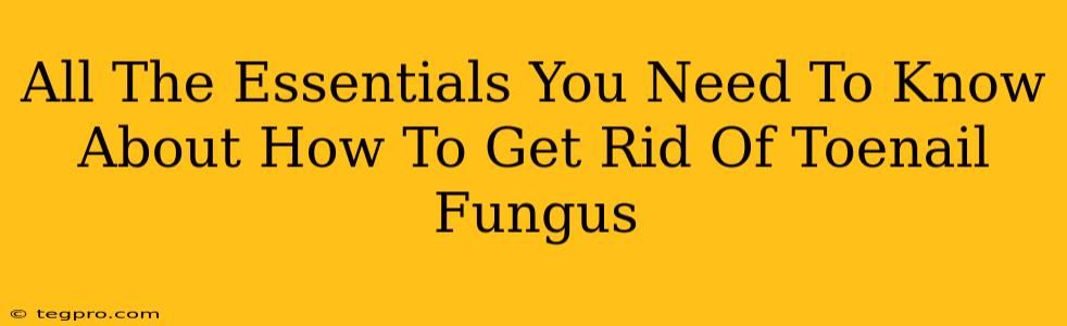 All The Essentials You Need To Know About How To Get Rid Of Toenail Fungus