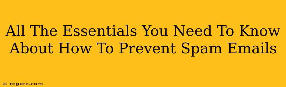 All The Essentials You Need To Know About How To Prevent Spam Emails