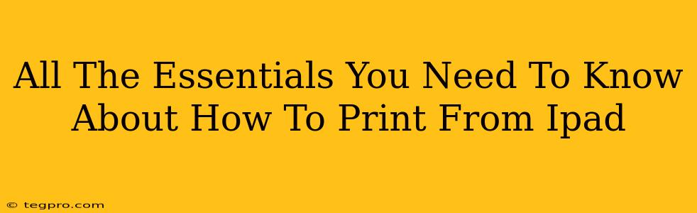 All The Essentials You Need To Know About How To Print From Ipad