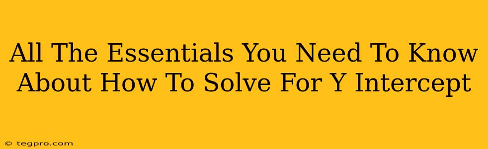 All The Essentials You Need To Know About How To Solve For Y Intercept