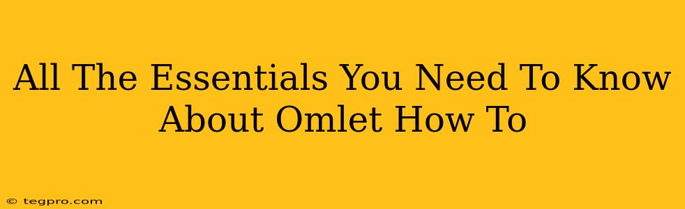 All The Essentials You Need To Know About Omlet How To