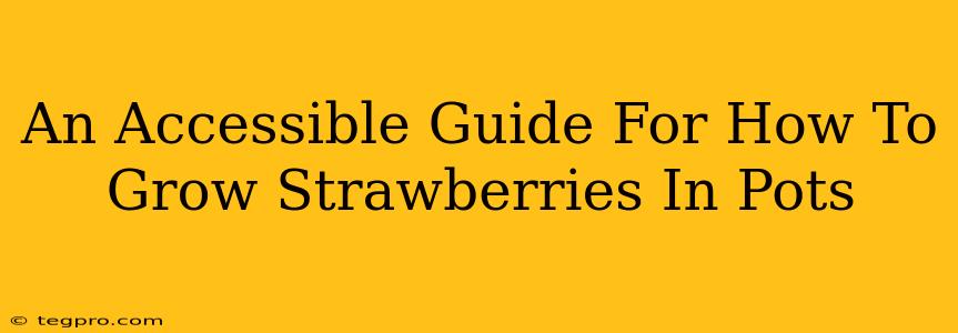 An Accessible Guide For How To Grow Strawberries In Pots