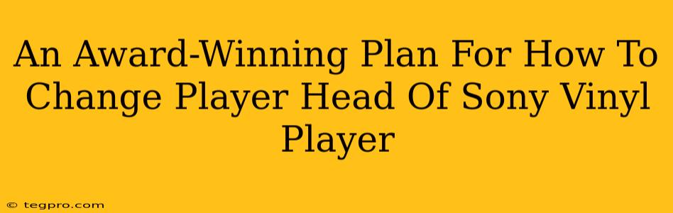 An Award-Winning Plan For How To Change Player Head Of Sony Vinyl Player