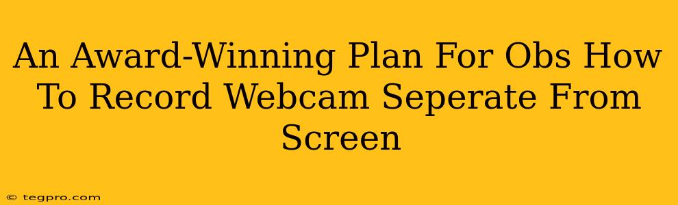 An Award-Winning Plan For Obs How To Record Webcam Seperate From Screen