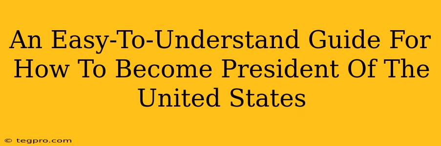 An Easy-To-Understand Guide For How To Become President Of The United States