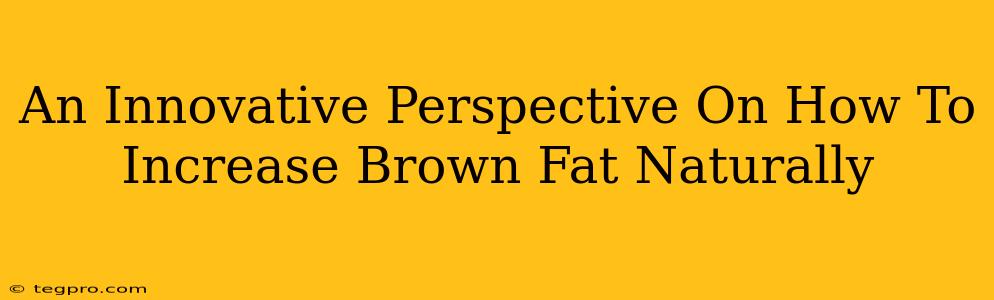 An Innovative Perspective On How To Increase Brown Fat Naturally