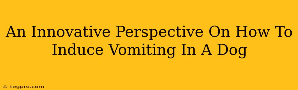 An Innovative Perspective On How To Induce Vomiting In A Dog