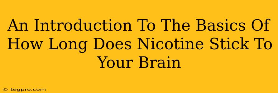 An Introduction To The Basics Of How Long Does Nicotine Stick To Your Brain