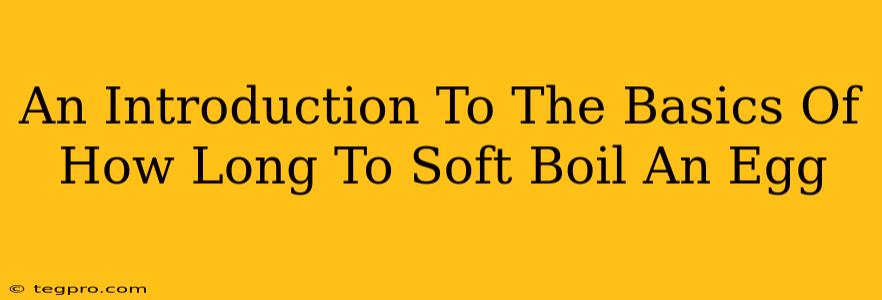 An Introduction To The Basics Of How Long To Soft Boil An Egg