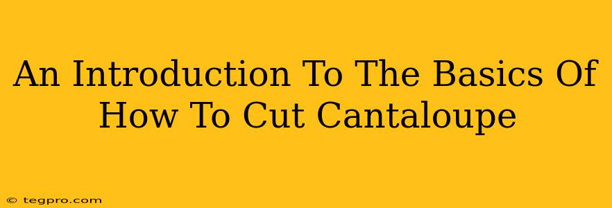 An Introduction To The Basics Of How To Cut Cantaloupe