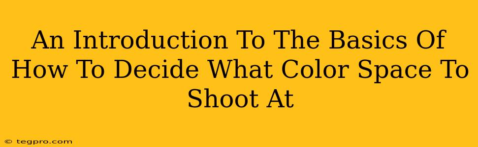 An Introduction To The Basics Of How To Decide What Color Space To Shoot At