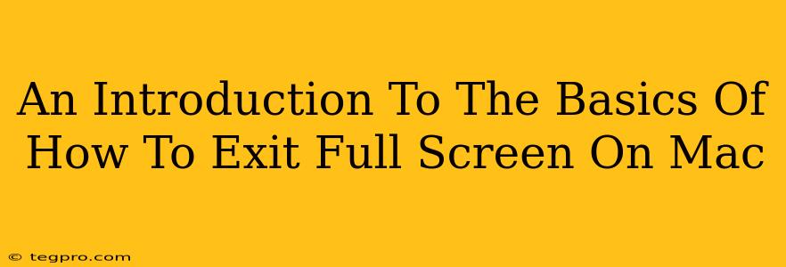 An Introduction To The Basics Of How To Exit Full Screen On Mac