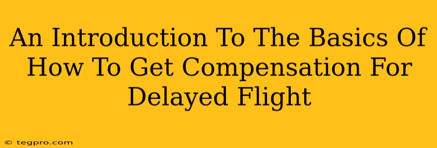 An Introduction To The Basics Of How To Get Compensation For Delayed Flight