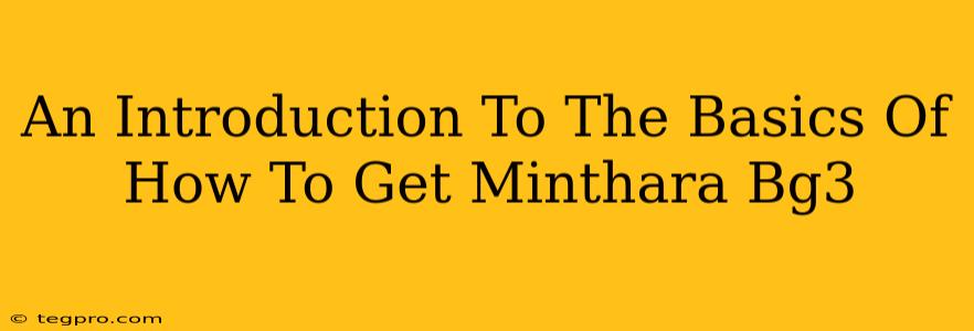 An Introduction To The Basics Of How To Get Minthara Bg3