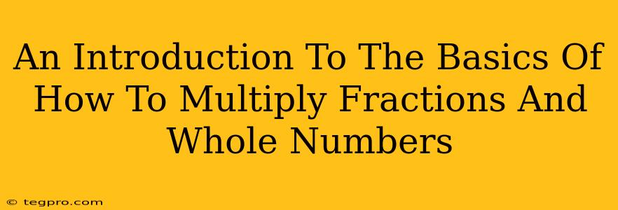 An Introduction To The Basics Of How To Multiply Fractions And Whole Numbers