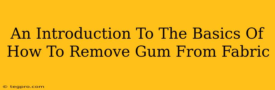 An Introduction To The Basics Of How To Remove Gum From Fabric