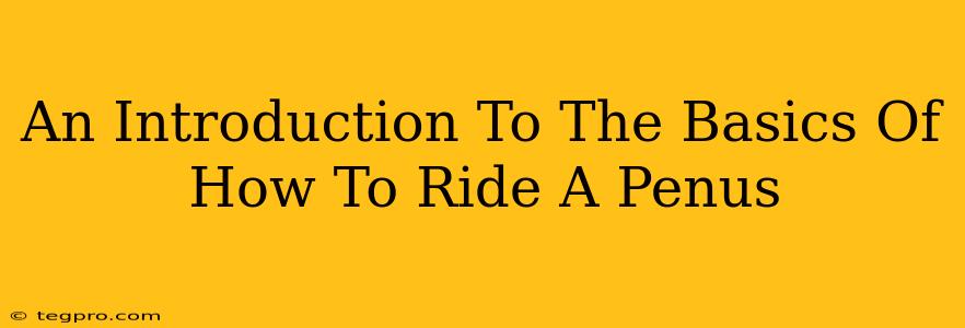 An Introduction To The Basics Of How To Ride A Penus
