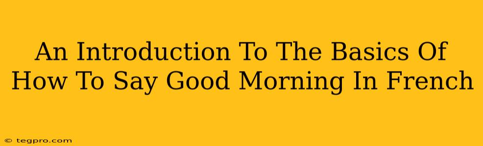 An Introduction To The Basics Of How To Say Good Morning In French