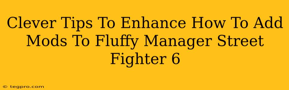 Clever Tips To Enhance How To Add Mods To Fluffy Manager Street Fighter 6