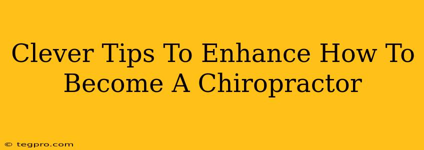 Clever Tips To Enhance How To Become A Chiropractor