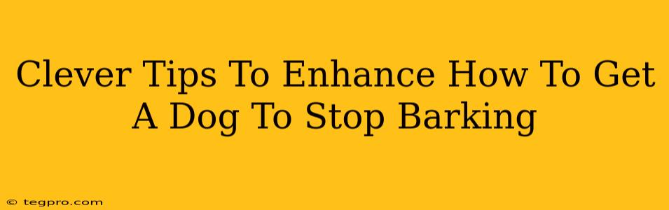 Clever Tips To Enhance How To Get A Dog To Stop Barking