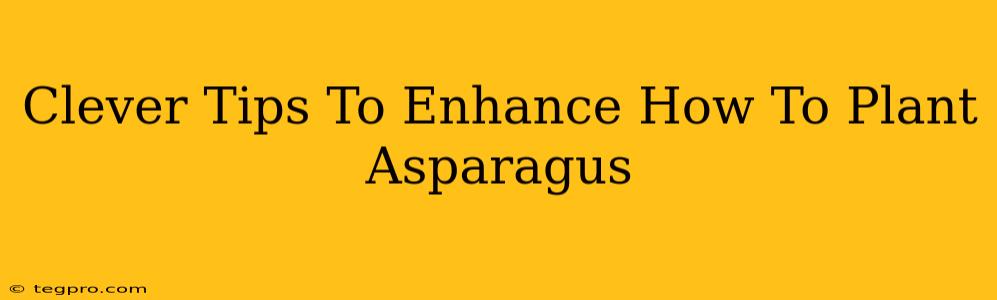 Clever Tips To Enhance How To Plant Asparagus