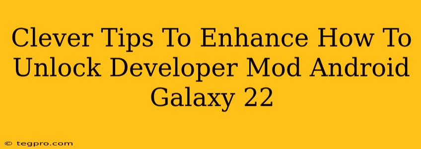 Clever Tips To Enhance How To Unlock Developer Mod Android Galaxy 22