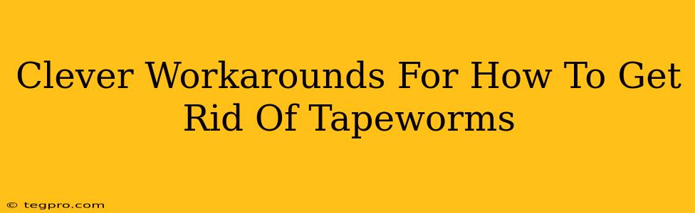 Clever Workarounds For How To Get Rid Of Tapeworms