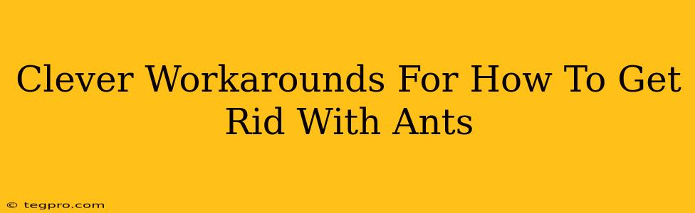 Clever Workarounds For How To Get Rid With Ants