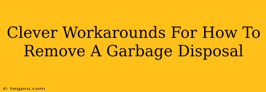 Clever Workarounds For How To Remove A Garbage Disposal