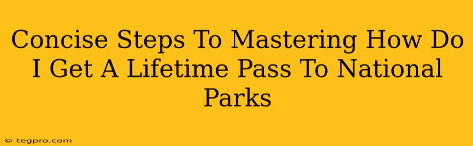 Concise Steps To Mastering How Do I Get A Lifetime Pass To National Parks