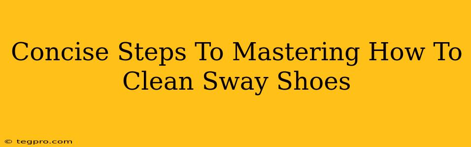 Concise Steps To Mastering How To Clean Sway Shoes