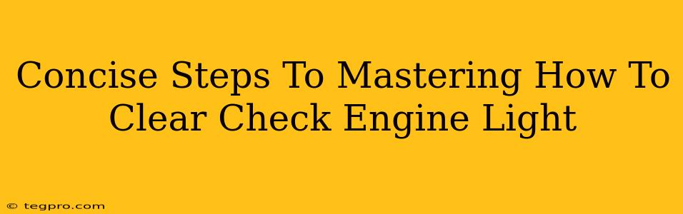 Concise Steps To Mastering How To Clear Check Engine Light