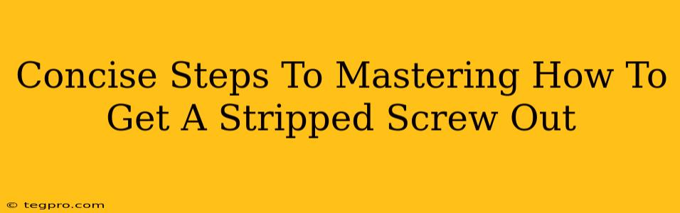 Concise Steps To Mastering How To Get A Stripped Screw Out