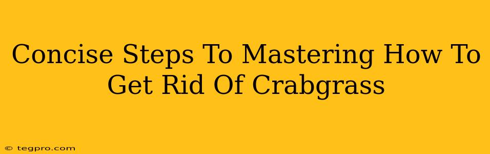 Concise Steps To Mastering How To Get Rid Of Crabgrass