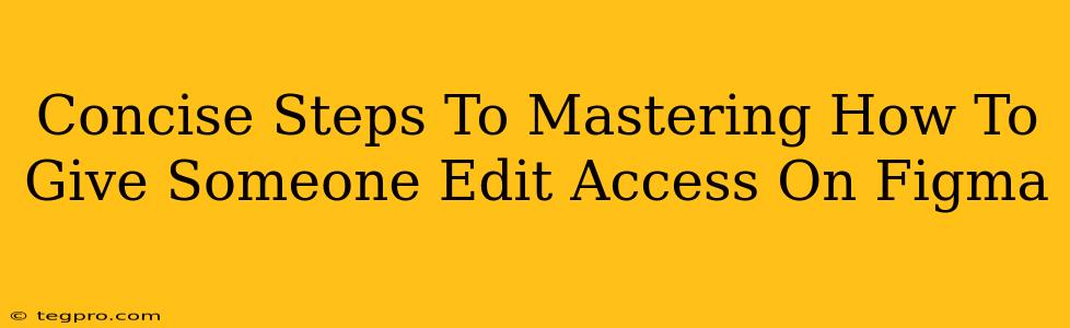 Concise Steps To Mastering How To Give Someone Edit Access On Figma