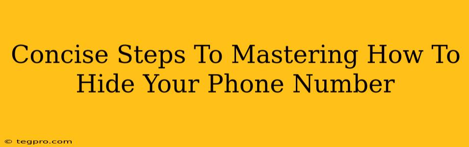 Concise Steps To Mastering How To Hide Your Phone Number